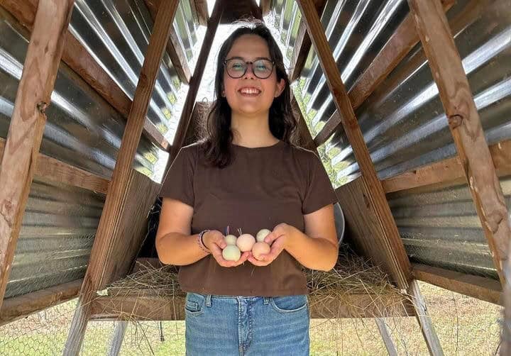 Bringing Ag Awareness to the Classroom Through Chickens