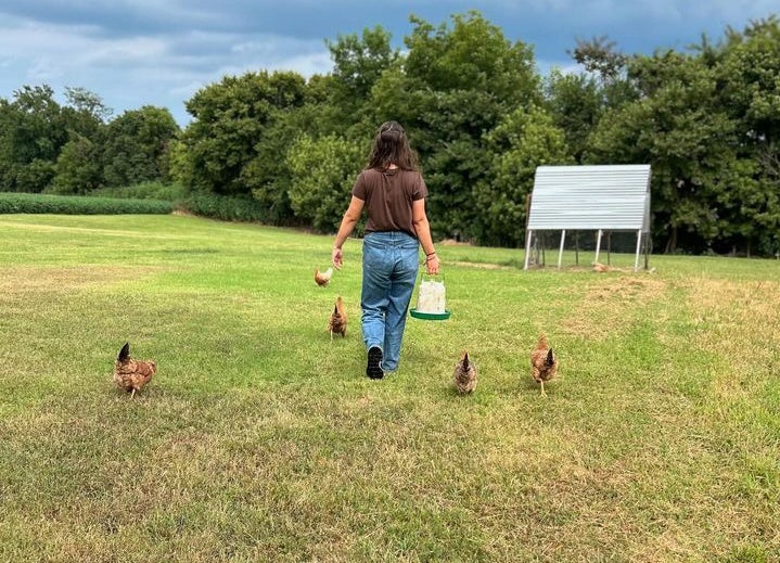 Abby walking with a few chickens from her flock.