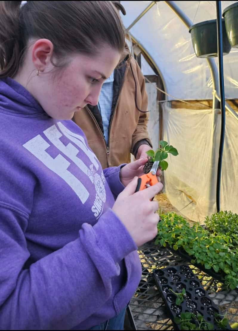 Chaliff was announced as a national finalist for her work in the nursery and landscape proficiency area.