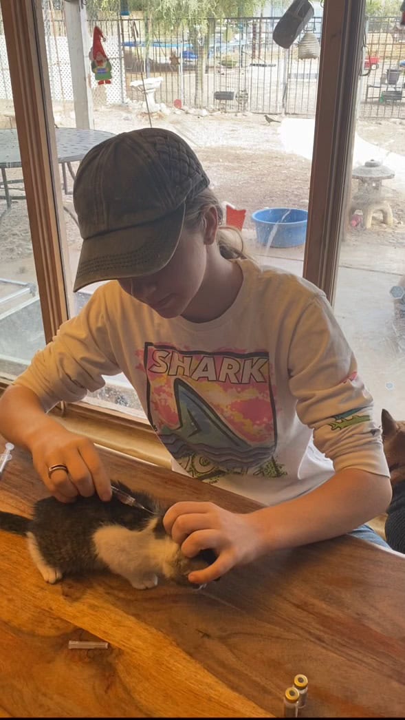 Angelina Smith administering a vaccine to a kitten.