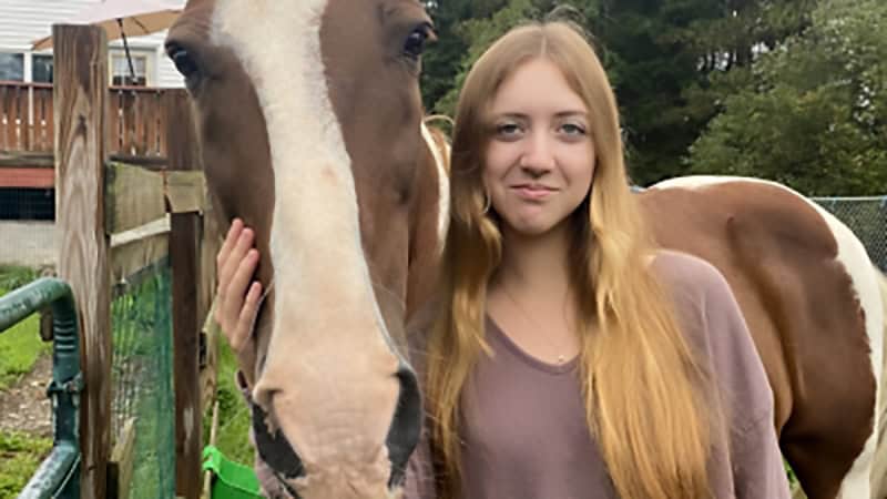 Desperado the Horse