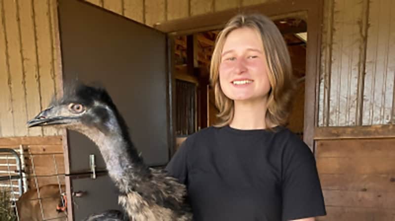 Emu Adventures: Farming With Emus