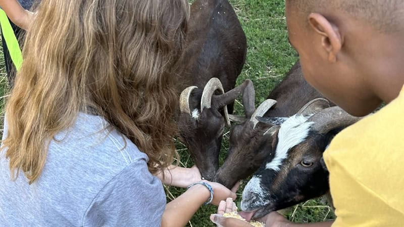 Chicago Ag Sciences FFA Alumna Leads the Charge in Agricultural Literacy