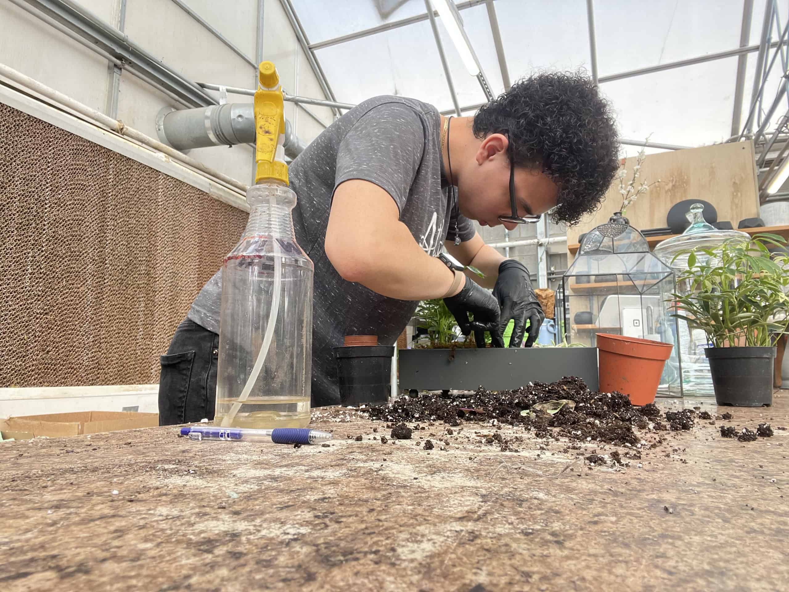 Cultivating Knowledge: Josiah Saravia’s Journey in Rare Plant Care