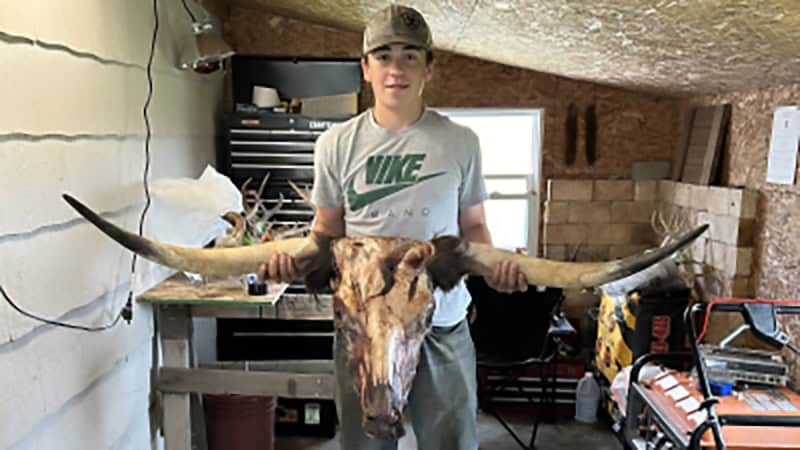 Taxidermy Triumph: Nate Emmons’ Latest FFA Endeavor