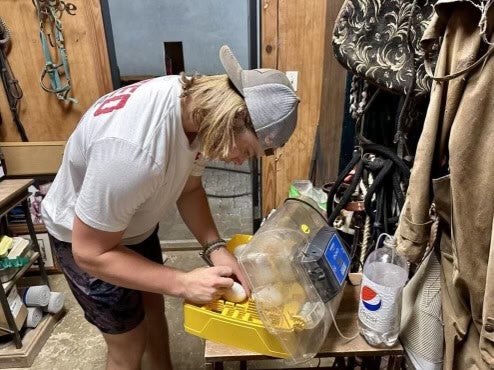 Helping a Threatened Species: Incubate in the Sunshine State