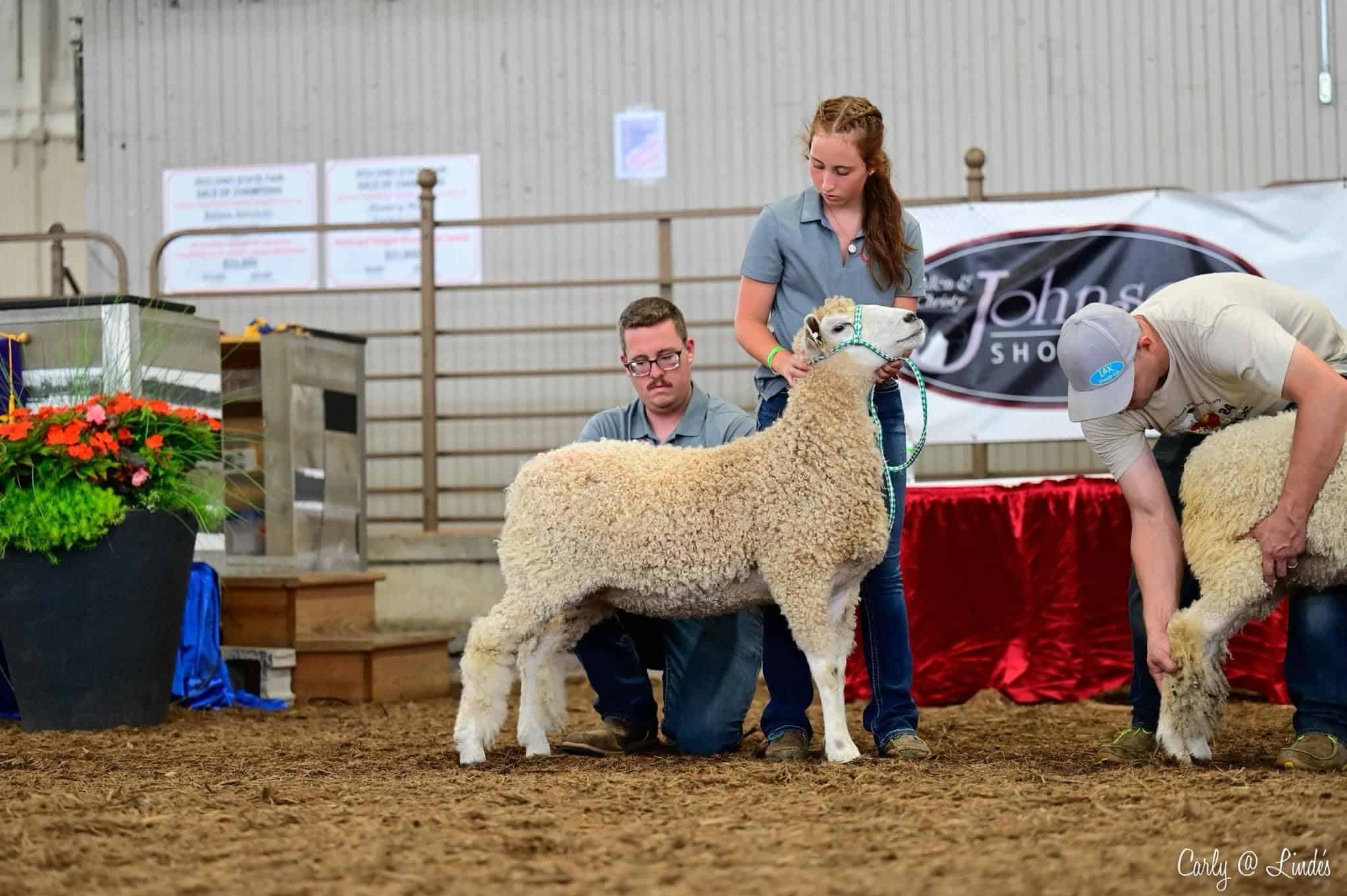 Ohio FFA Member Shows Nationally While Sticking to Her Roots
