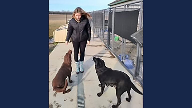From Animal Enthusiast to an Award-Winning SAE