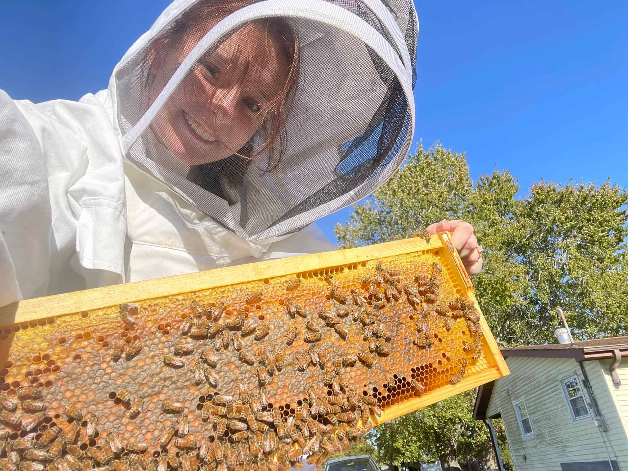 This SAE is Something To Buzz About