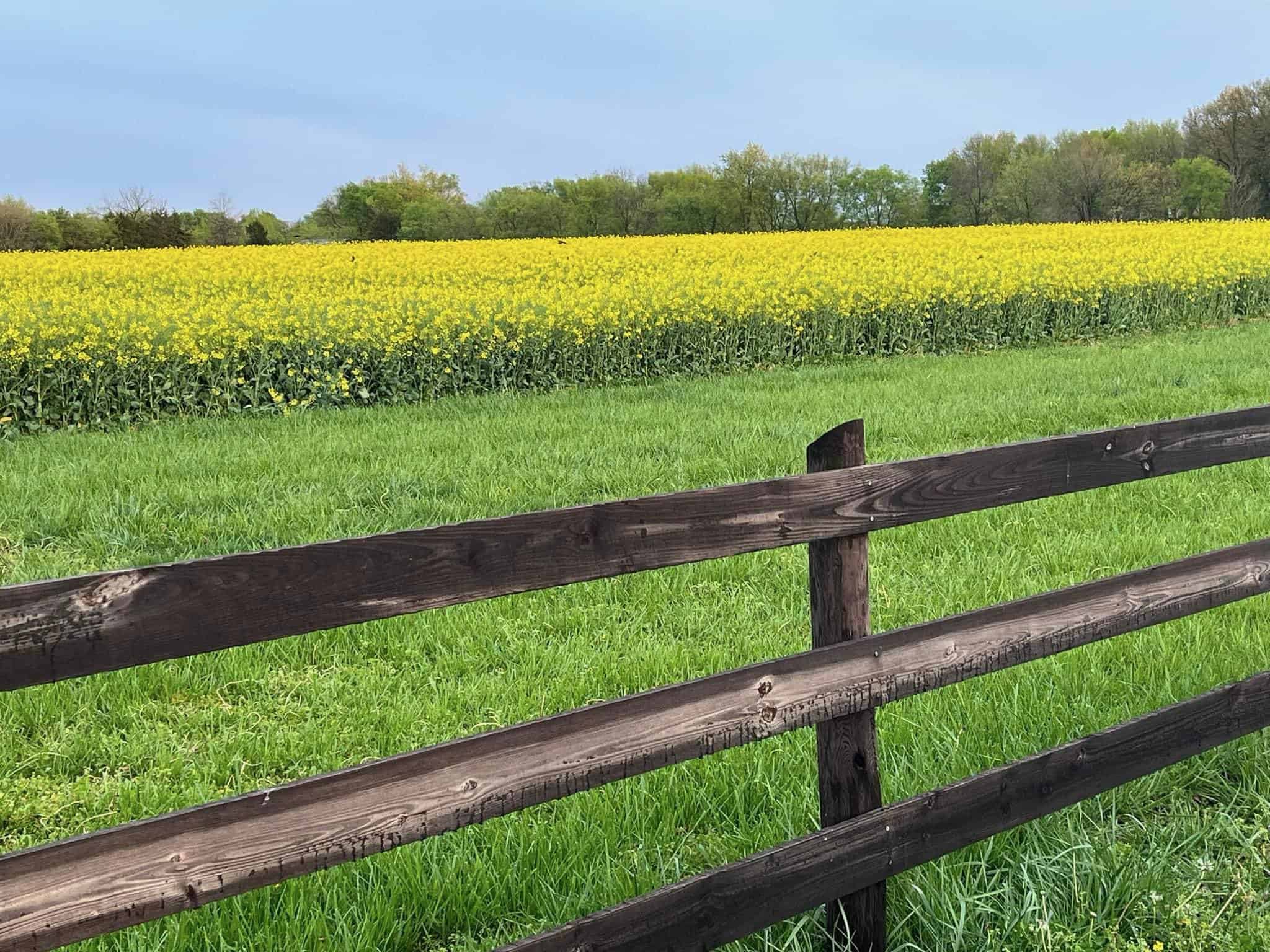 This FFA Member Is Doing To Learn With His SAE