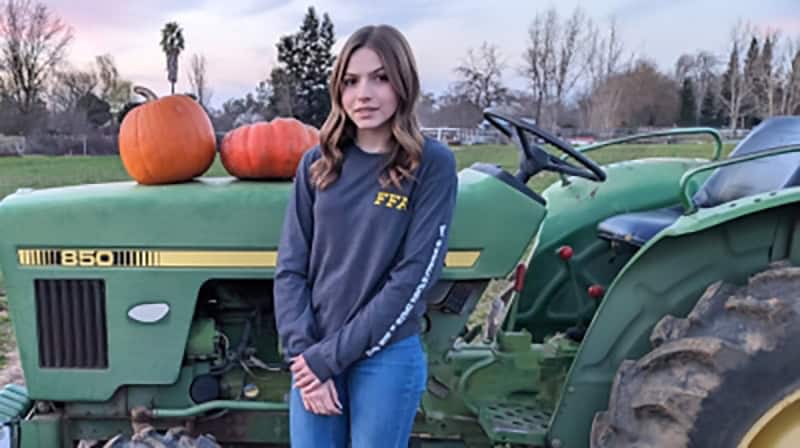 The Pumpkin Patch Girl