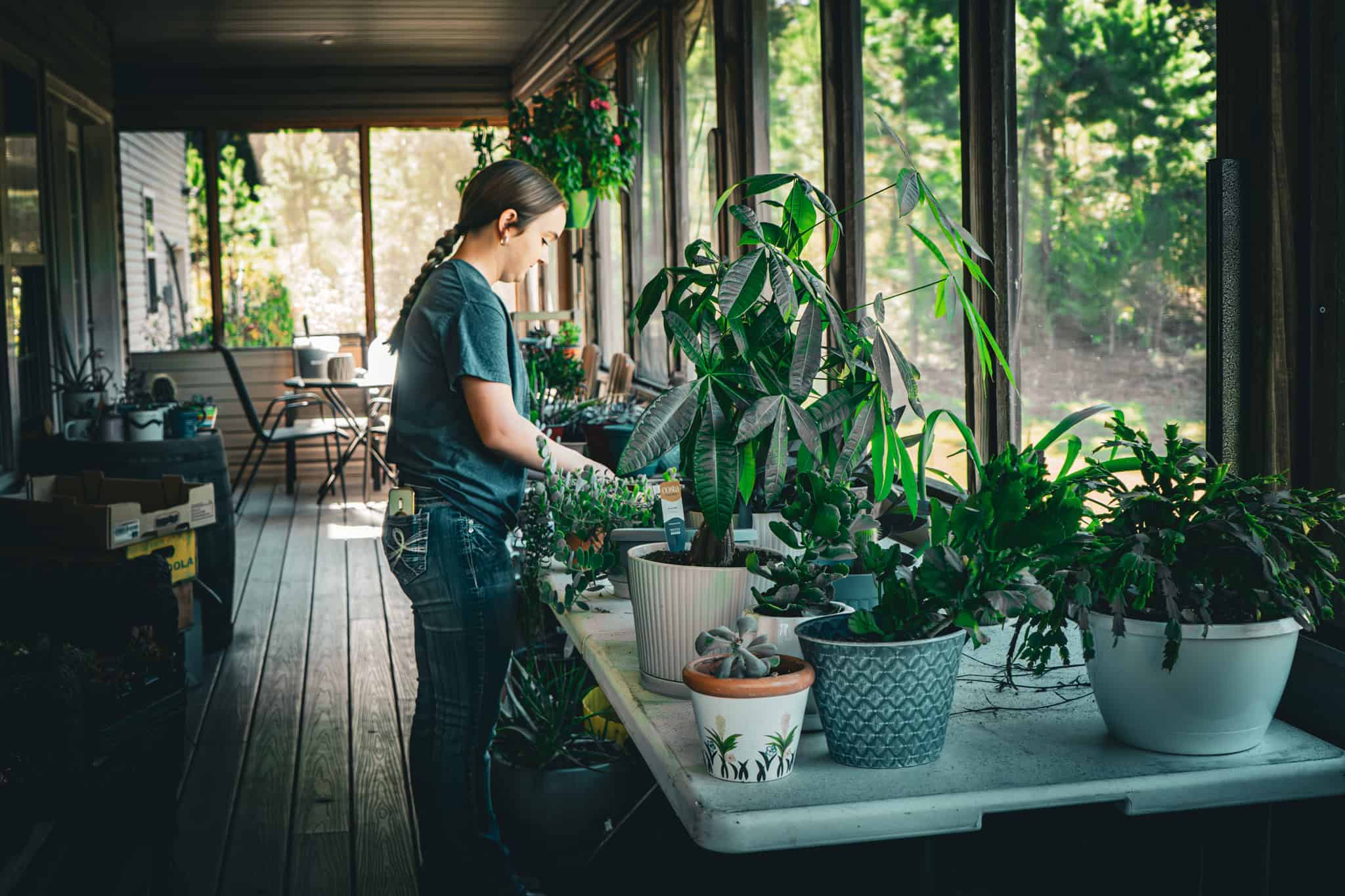 Sprouting Into Success