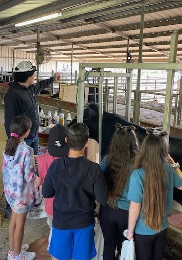 Ripening Knowledge With Ripon FFA