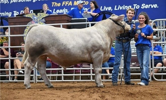 Transforming Lives: How Pearland FFA Connects Students Through Livestock