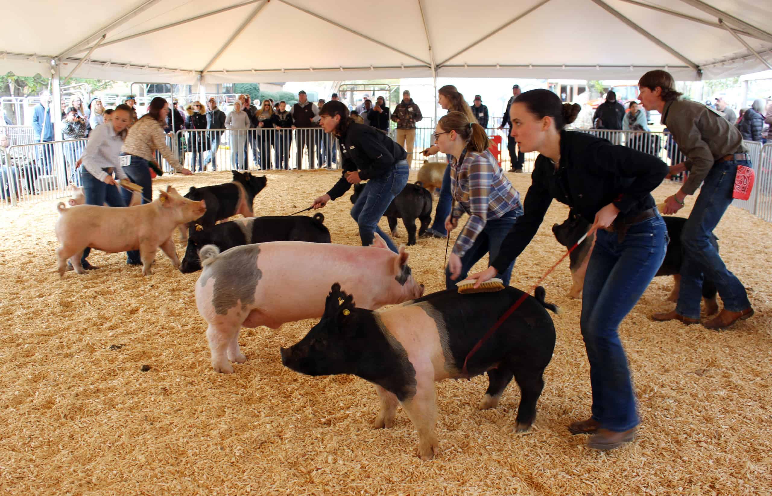 Ag Fest: Festivities for Farmers and Friends