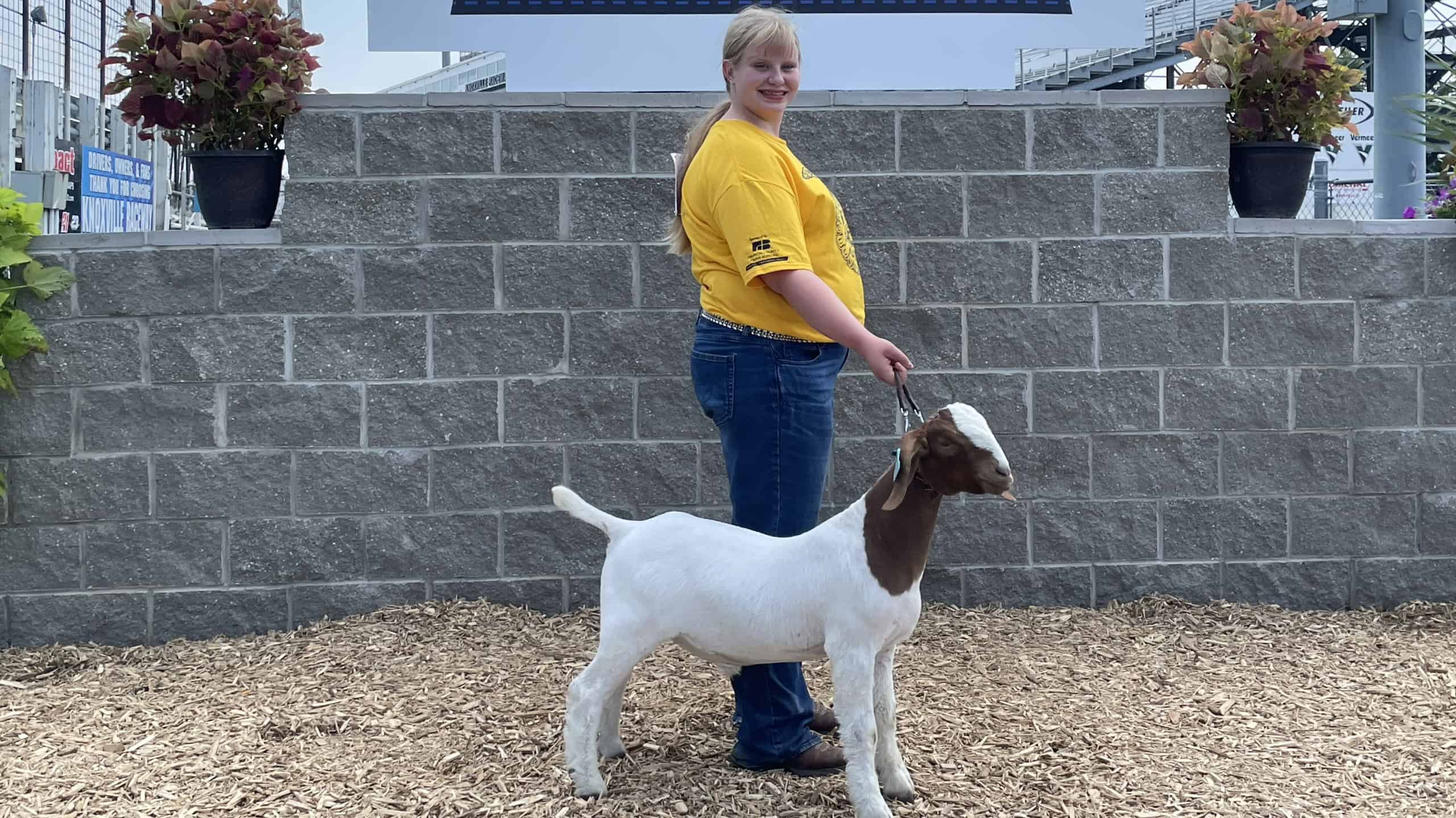 The Goat That Keeps Giving