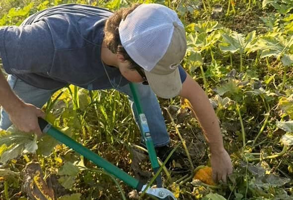 Giving Back Through the Local Pumpkin Patch