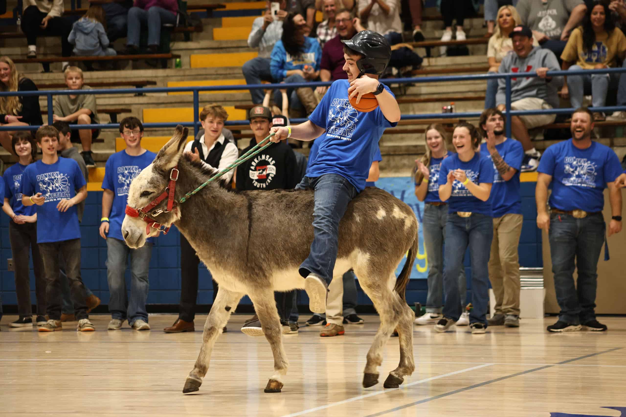 The Battle of the Donkeys