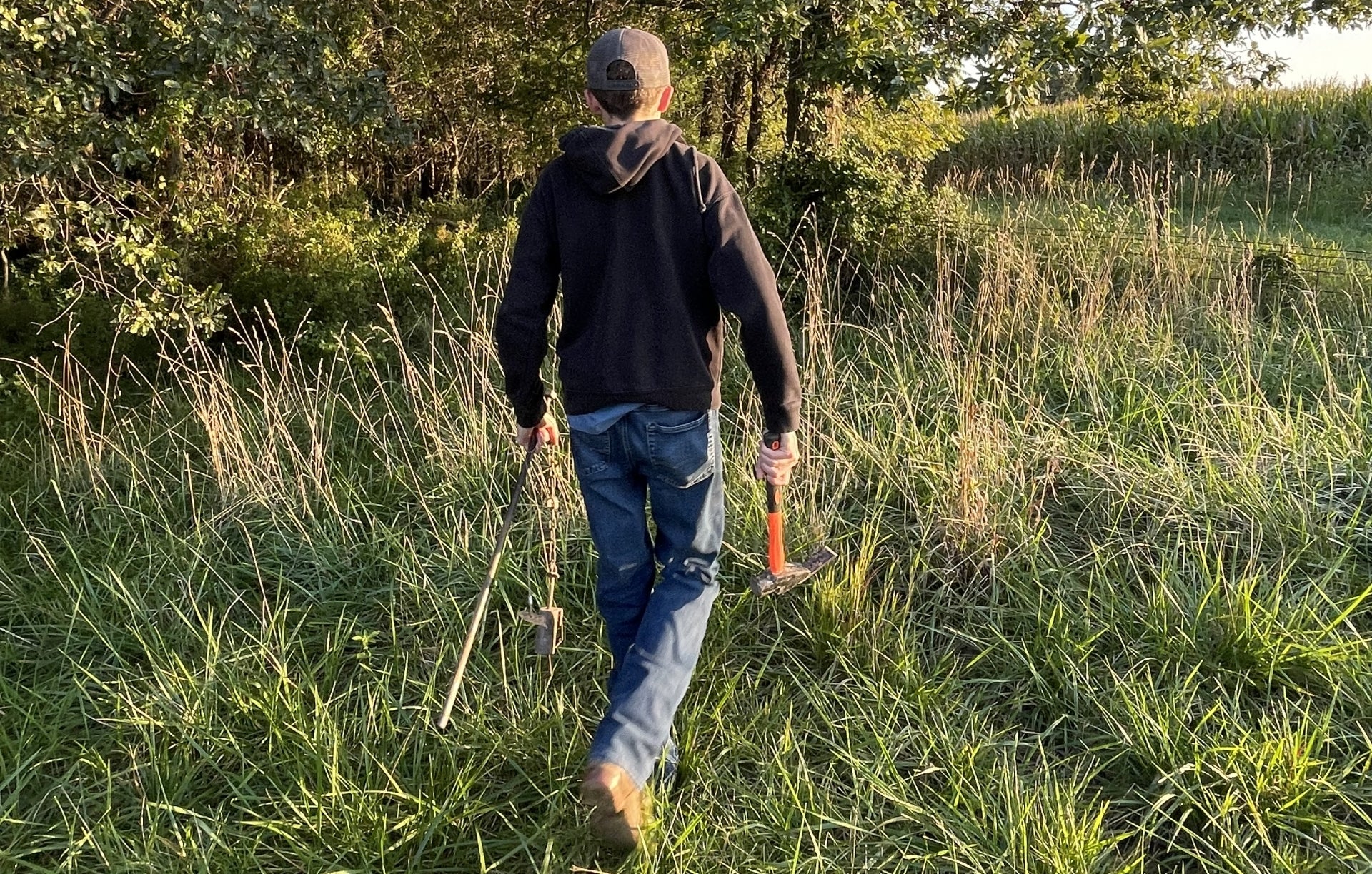 Restoring the Call: How Trapping Saved the Quail
