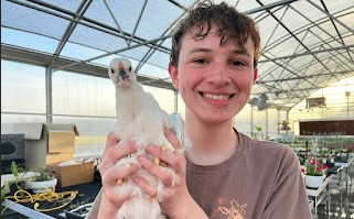 Sandy Creek FFA Member Serves Community Through Poultry SAE