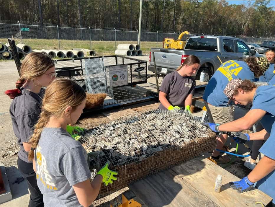 Niche Rehabilitation Results in National Recognition
