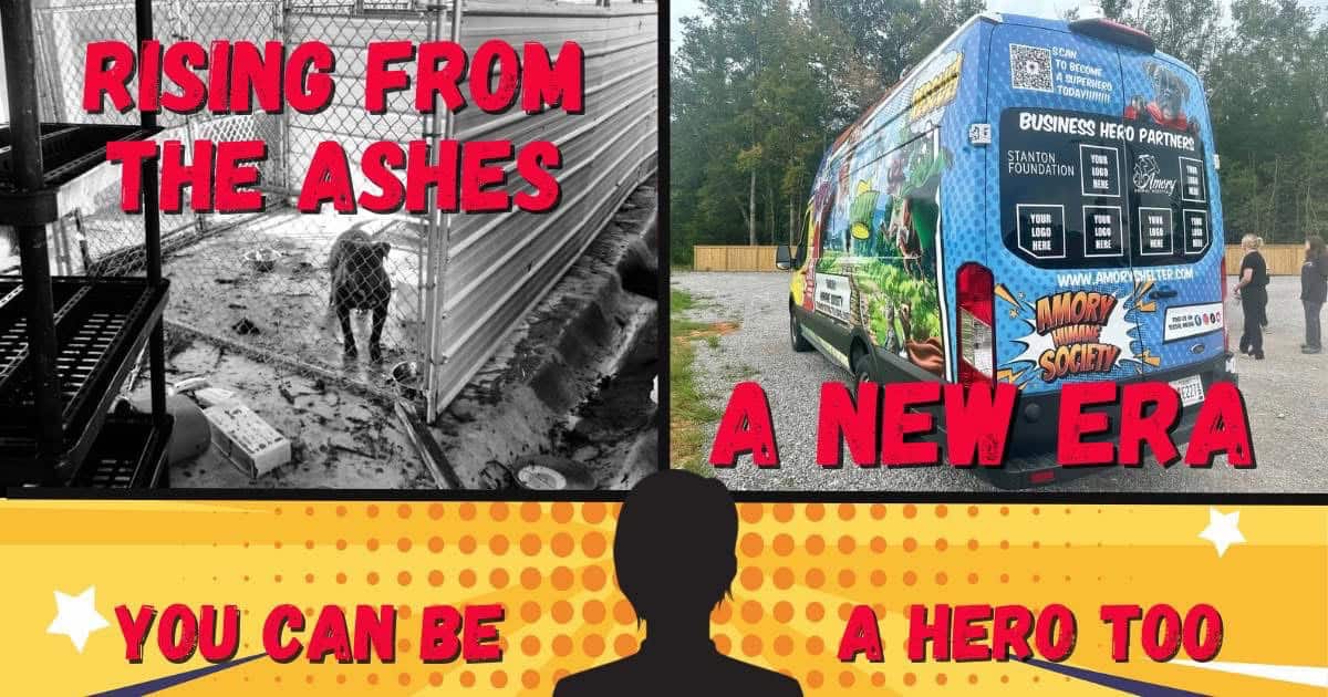 A Paws-itive Impact: Hope After the Storm