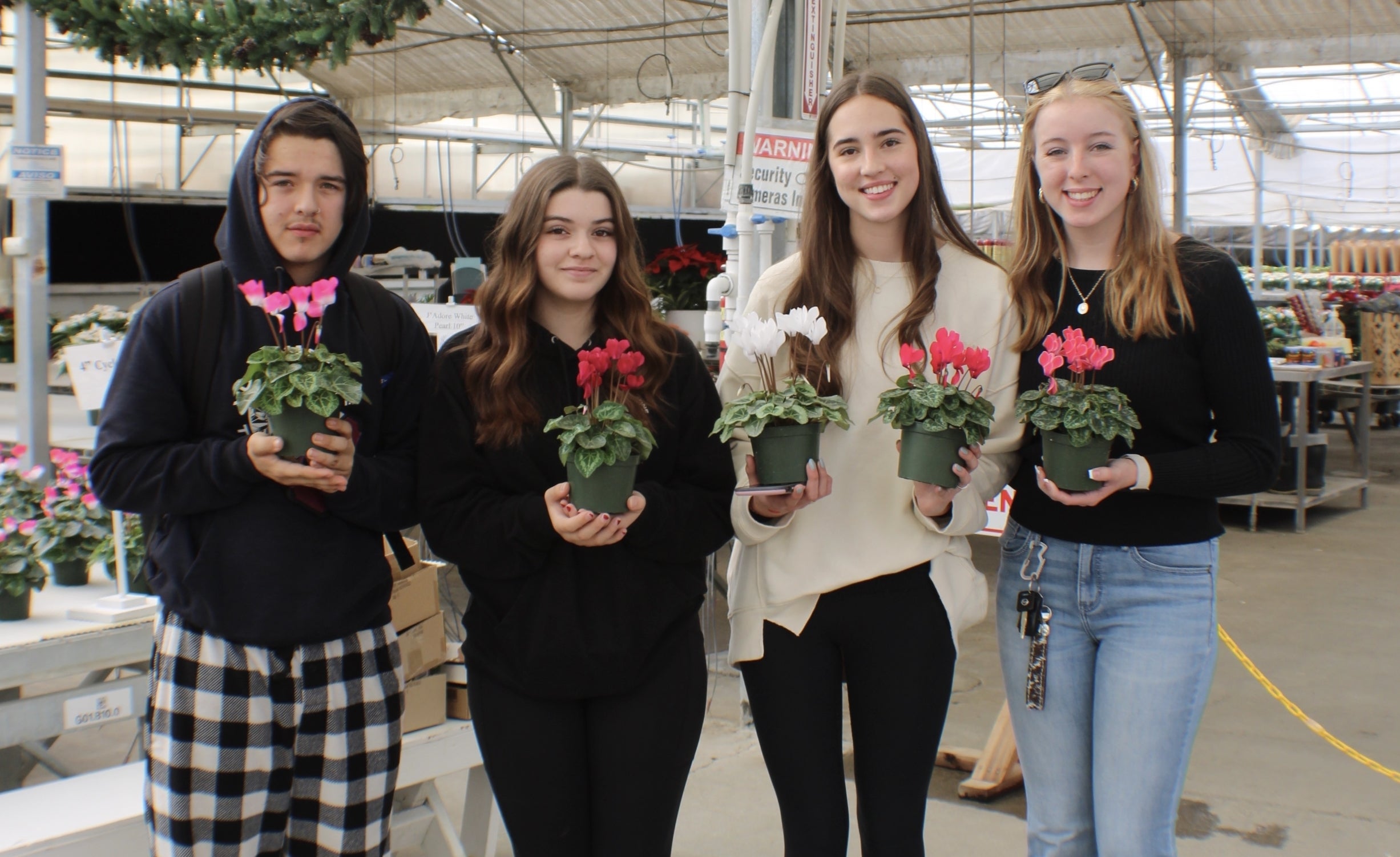 Tioga’s FFA–ntastic Poinsettias