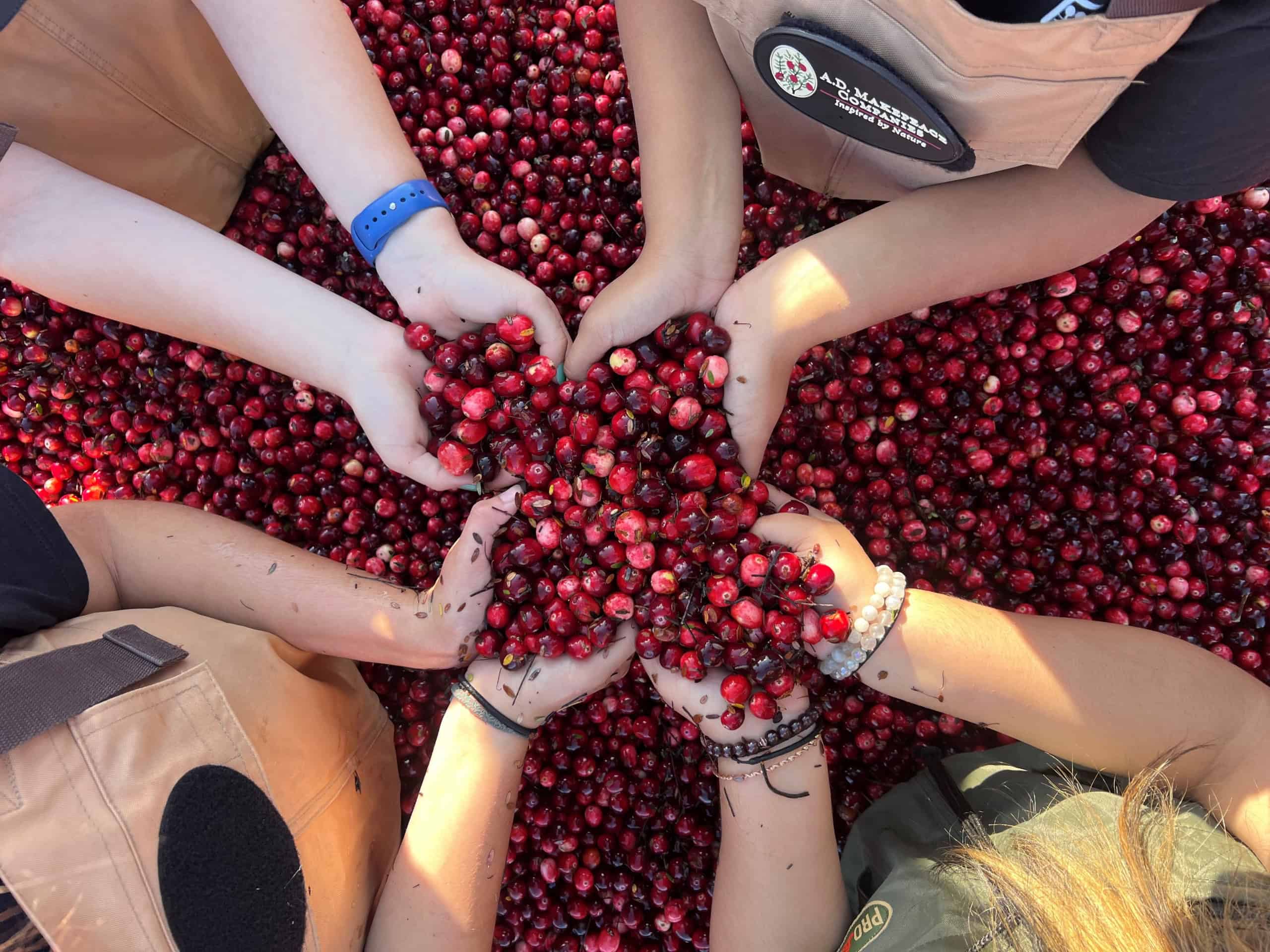 Let’s Be Cran-did About Small State Agriculture