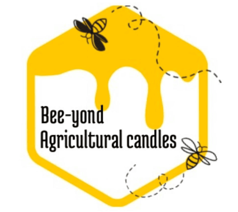 Buzzing About Beeswax
