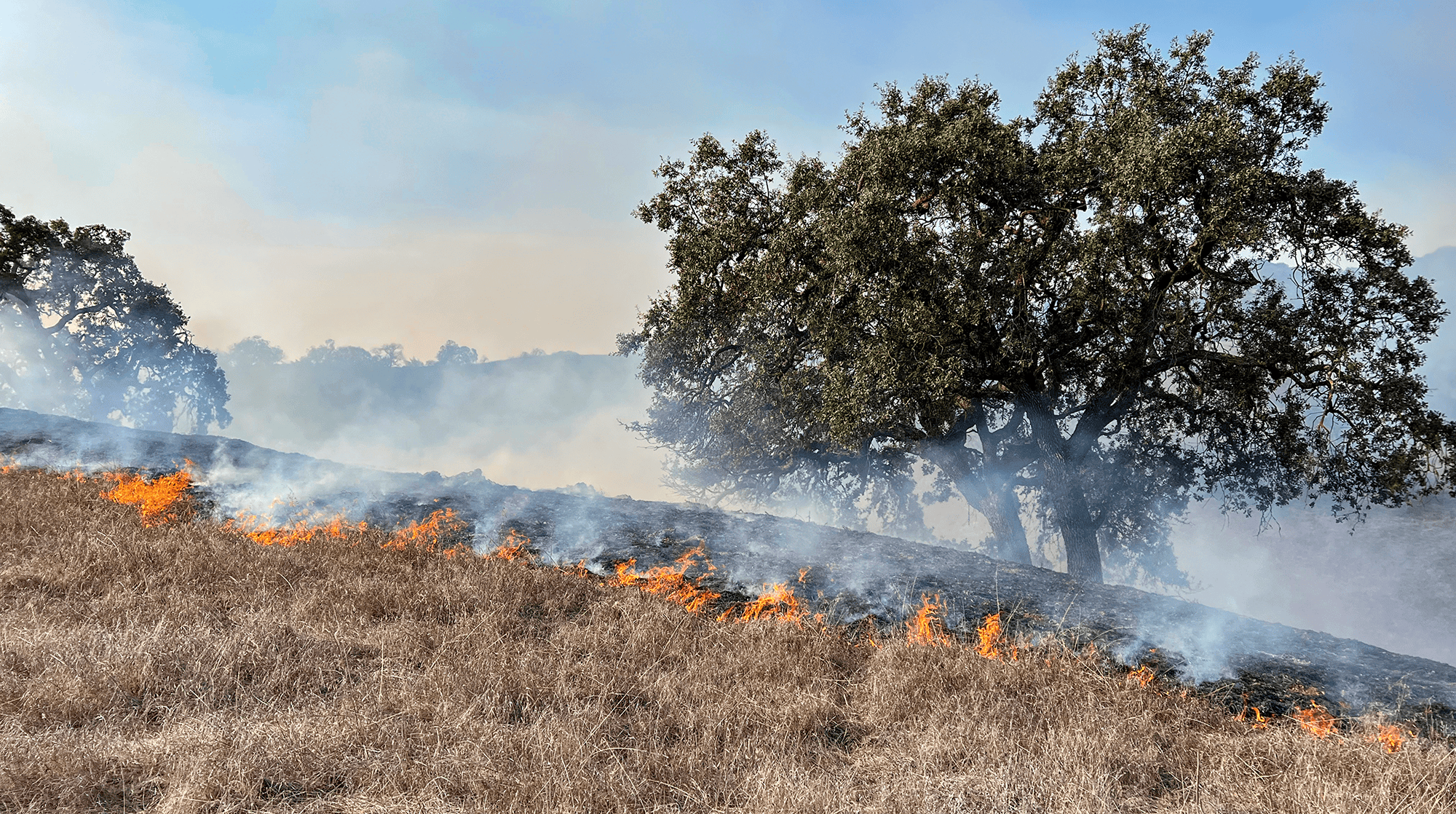 California Wildfires Burn Away Agriculture