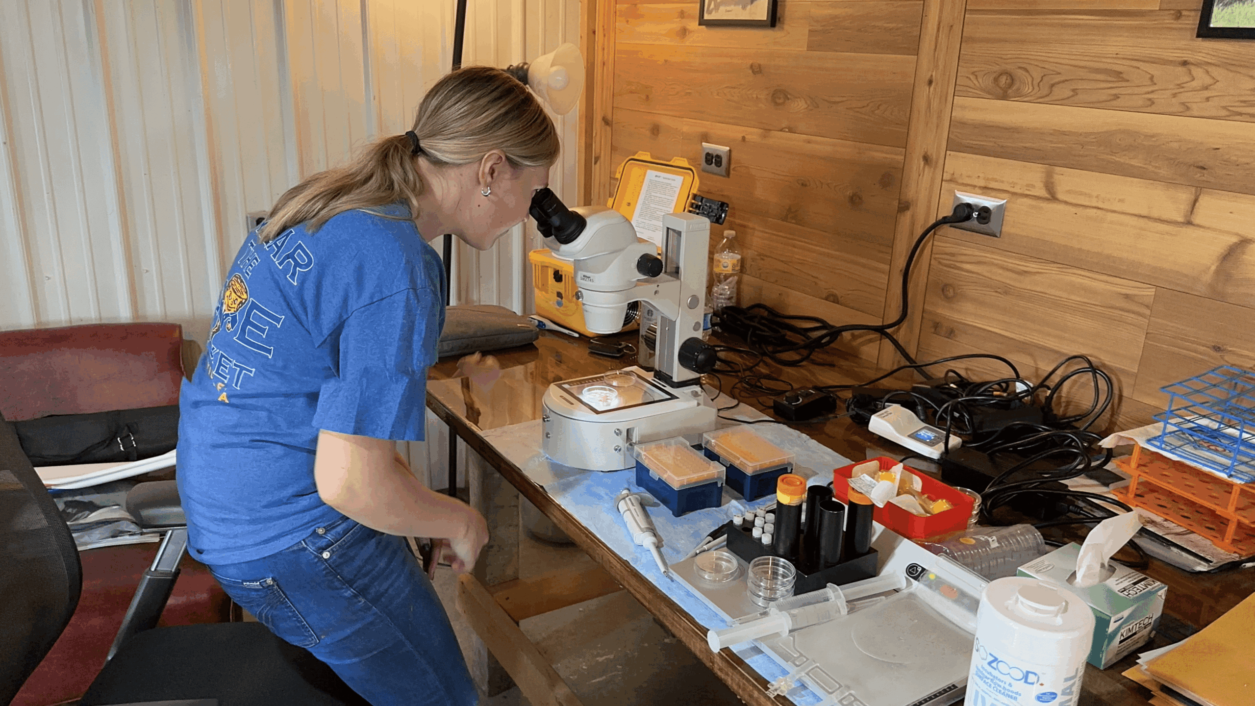 7 Tips for Starting an Agriscience Project