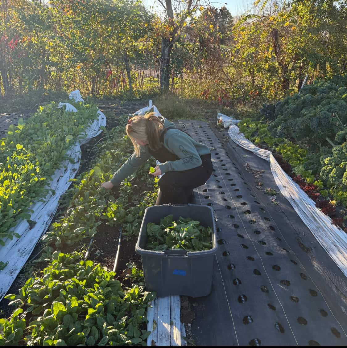 Cultivating for Her Community