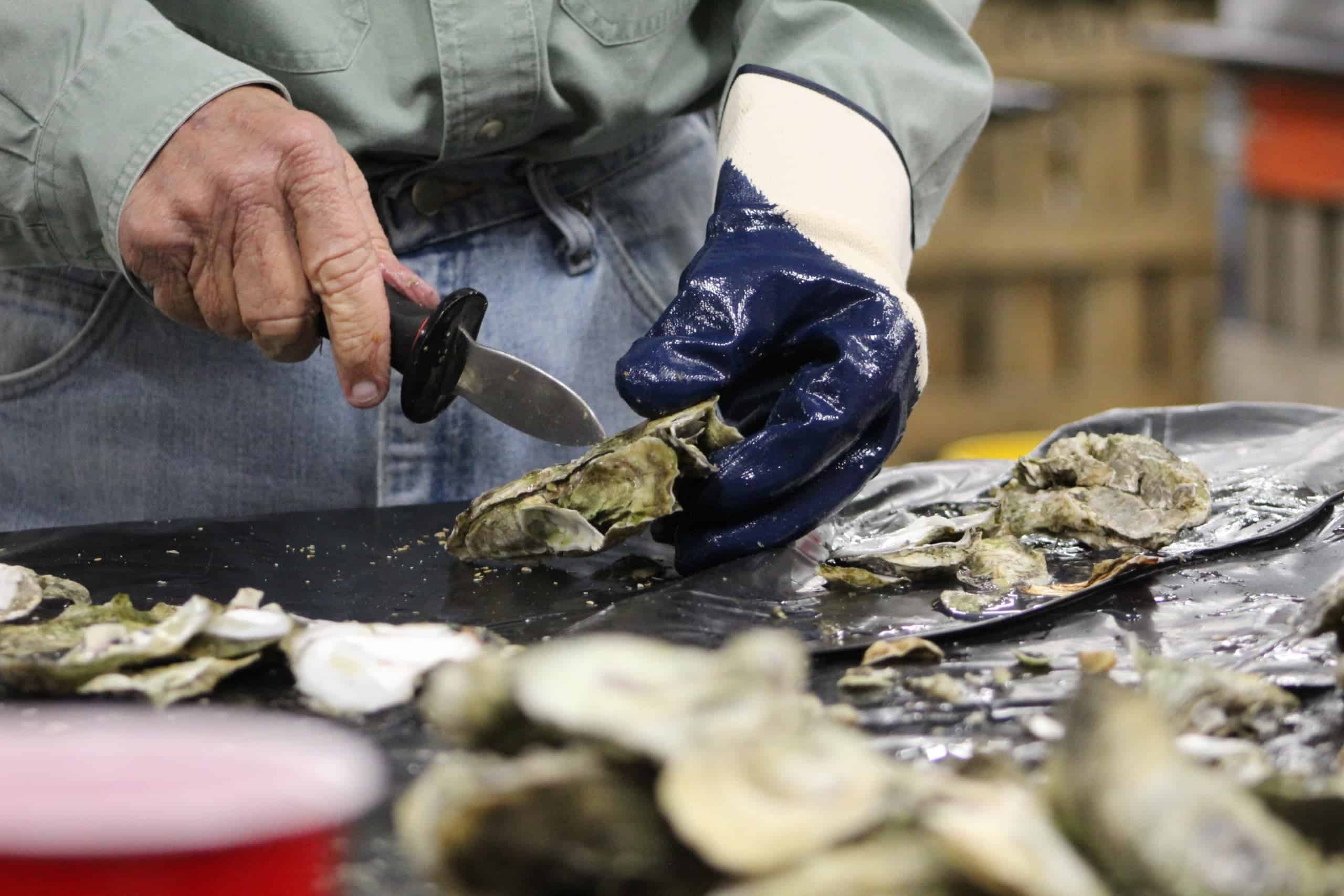 There Must Be Something in the Oysters