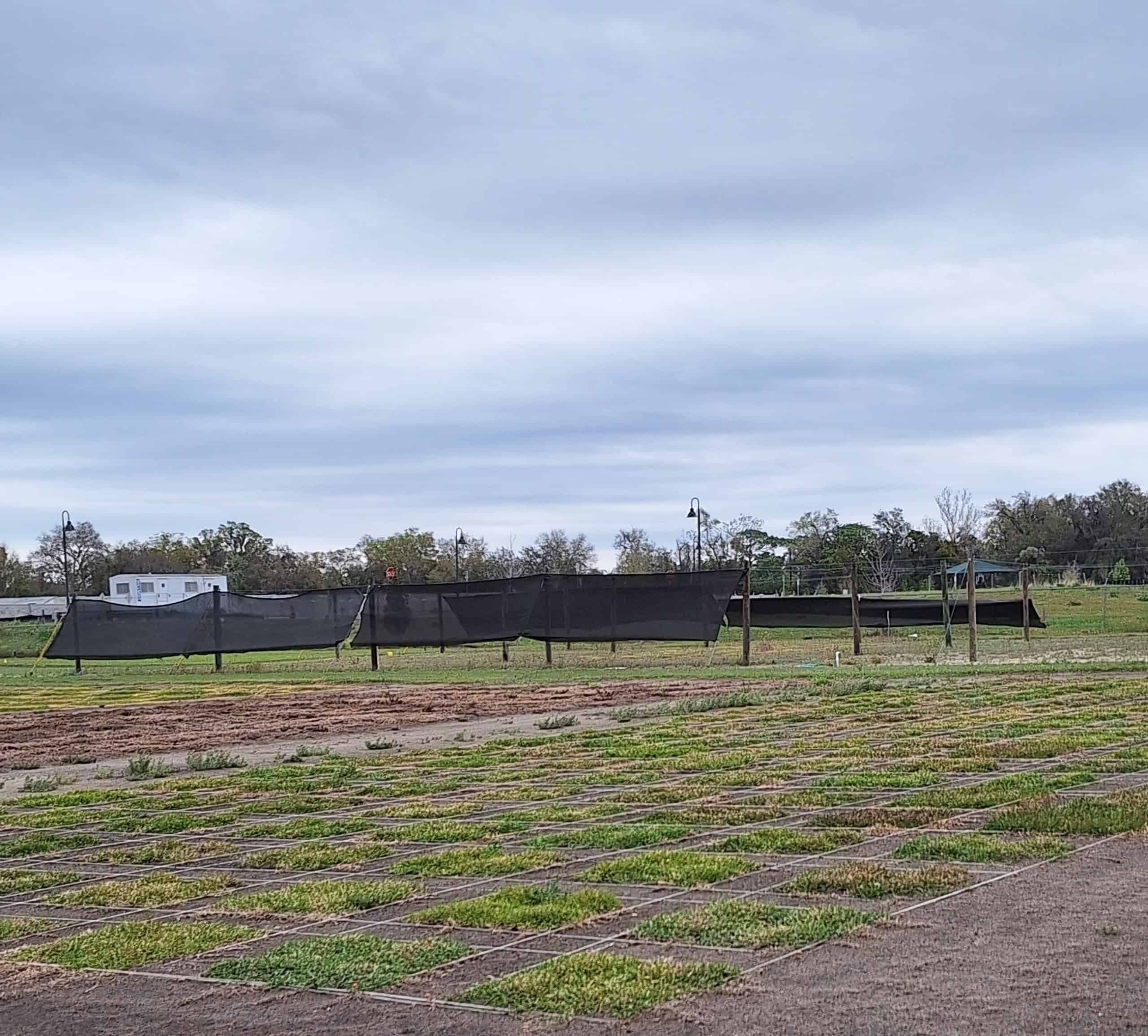 Scott's Miracle Gro Research Lab showed the importance of fertilizer research and correct turf usage. 