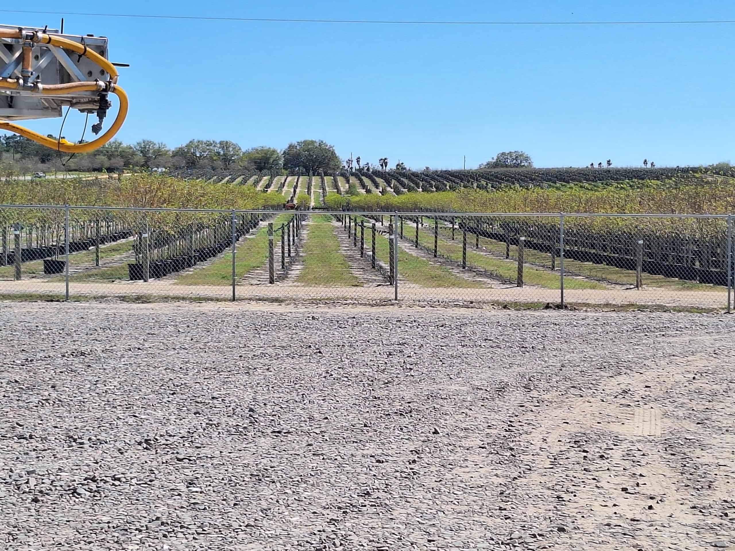Members saw the large nursery where Cherrylake Tree Farm grows millions of trees each year. 
