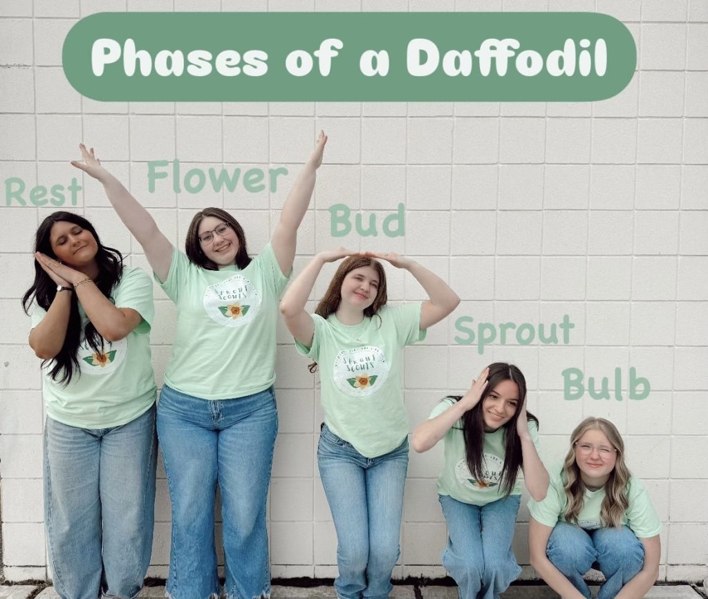 “Sprout Scouts” show the different phases of a daffodil through a unique photo.