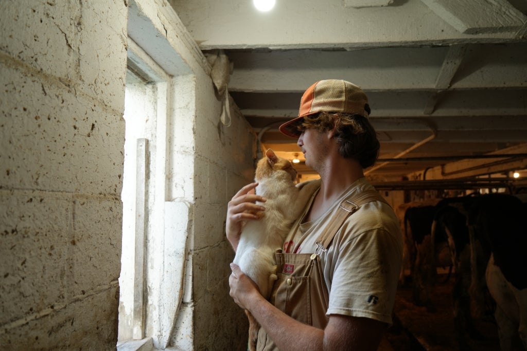 Cassellius plays with his favorite barn cat, Earl, while waiting a round of milking to finish.