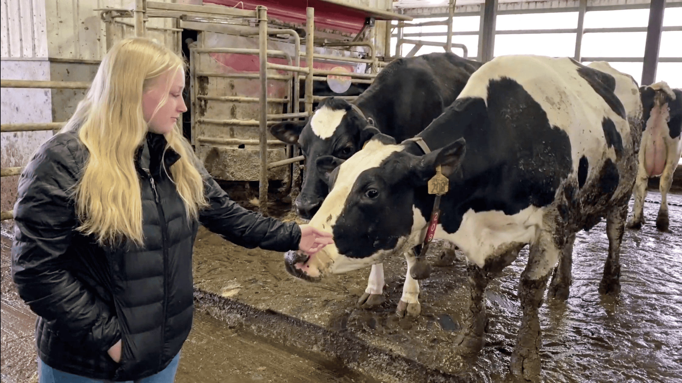 Herding Success: Preparing a Future Through Dairy