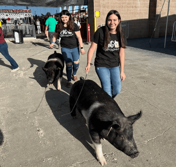 Walking Hogs 