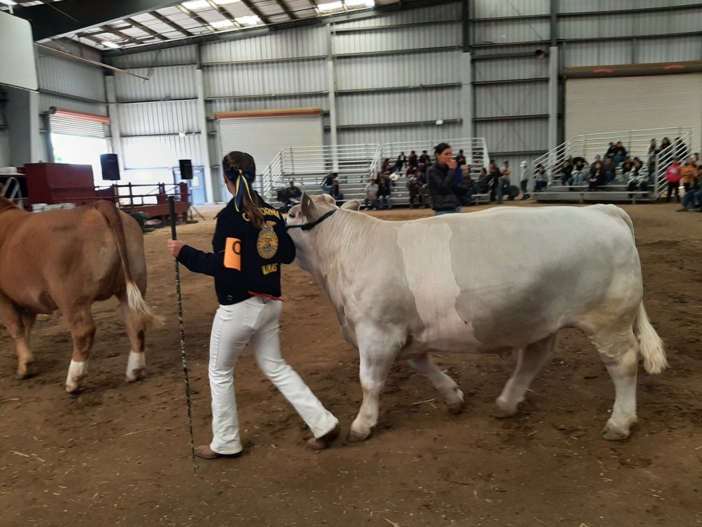 Nielsen shows during the beef portion of the Round Robin.