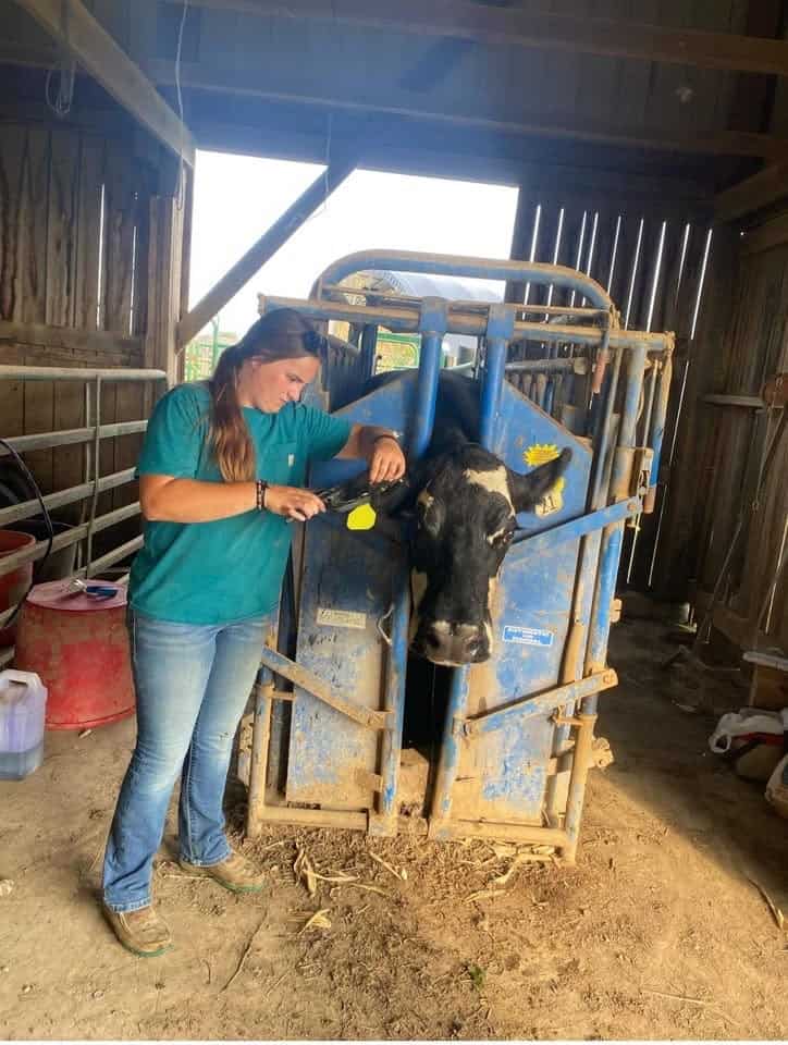 Emerson Tucker will represent the Bluegrass Region for Star Farmer at the Kentucky FFA Convention in June. 
