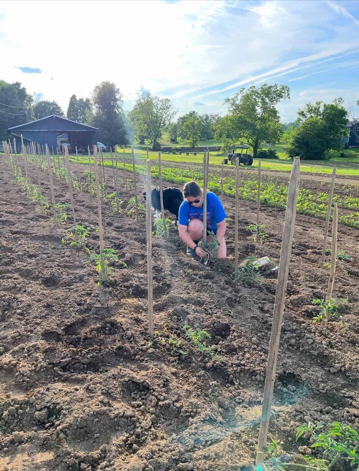 The Path to Bluegrass Region Star Farmer