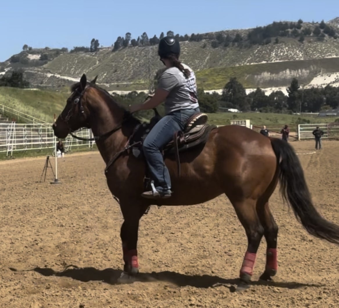 Galloping to Glory