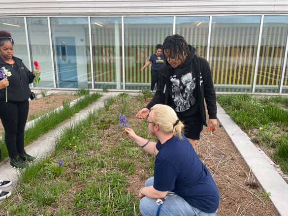 Rooftop to Table: Youth Cultivating Change