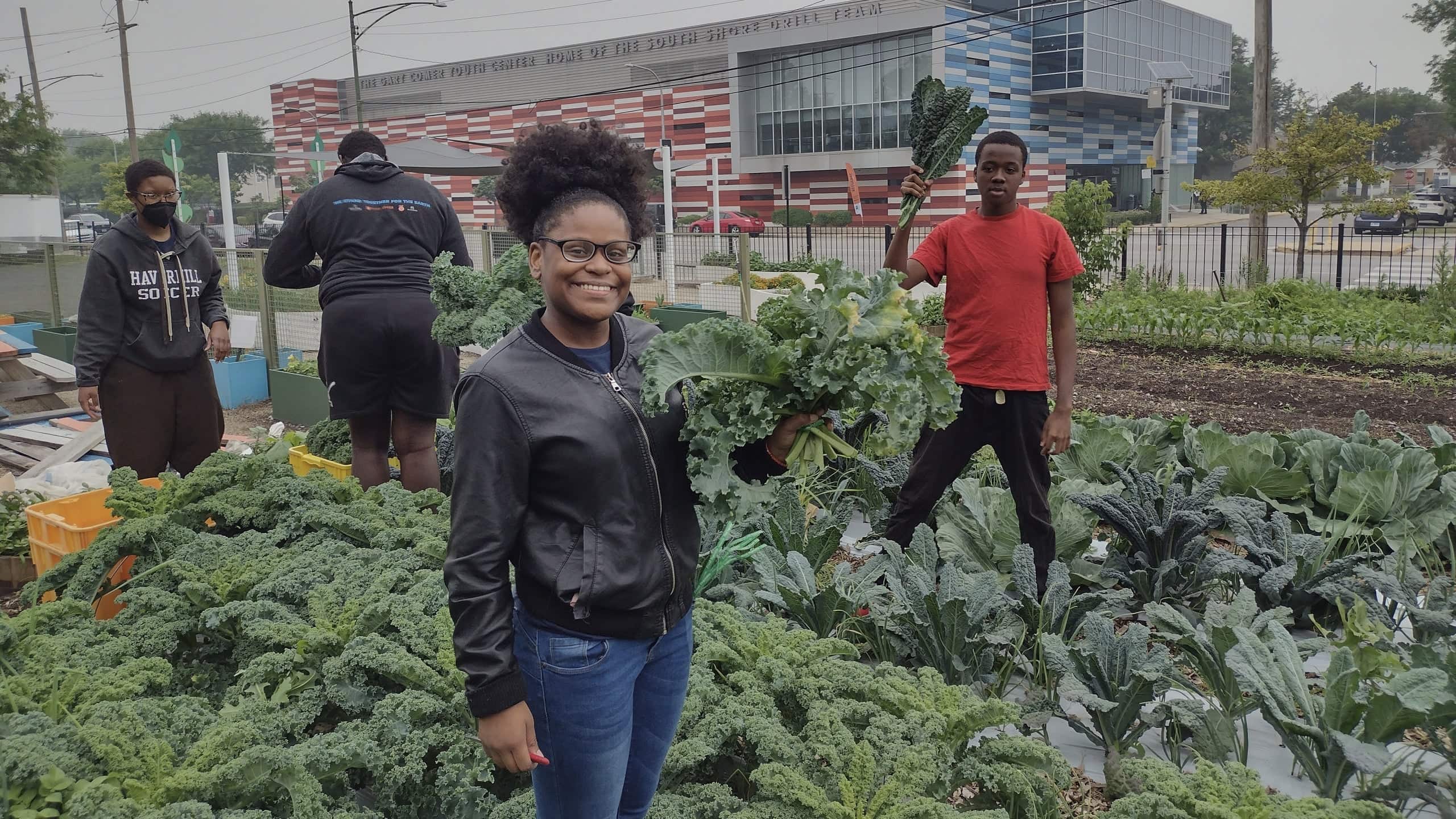 Chicago Youth Harvest Potential on Student-Run Farm