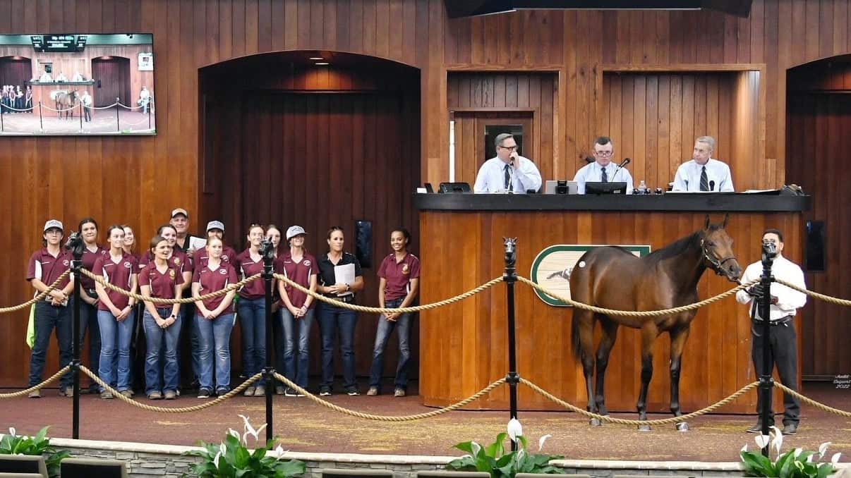 Florida Equine Program Saddles Up Success