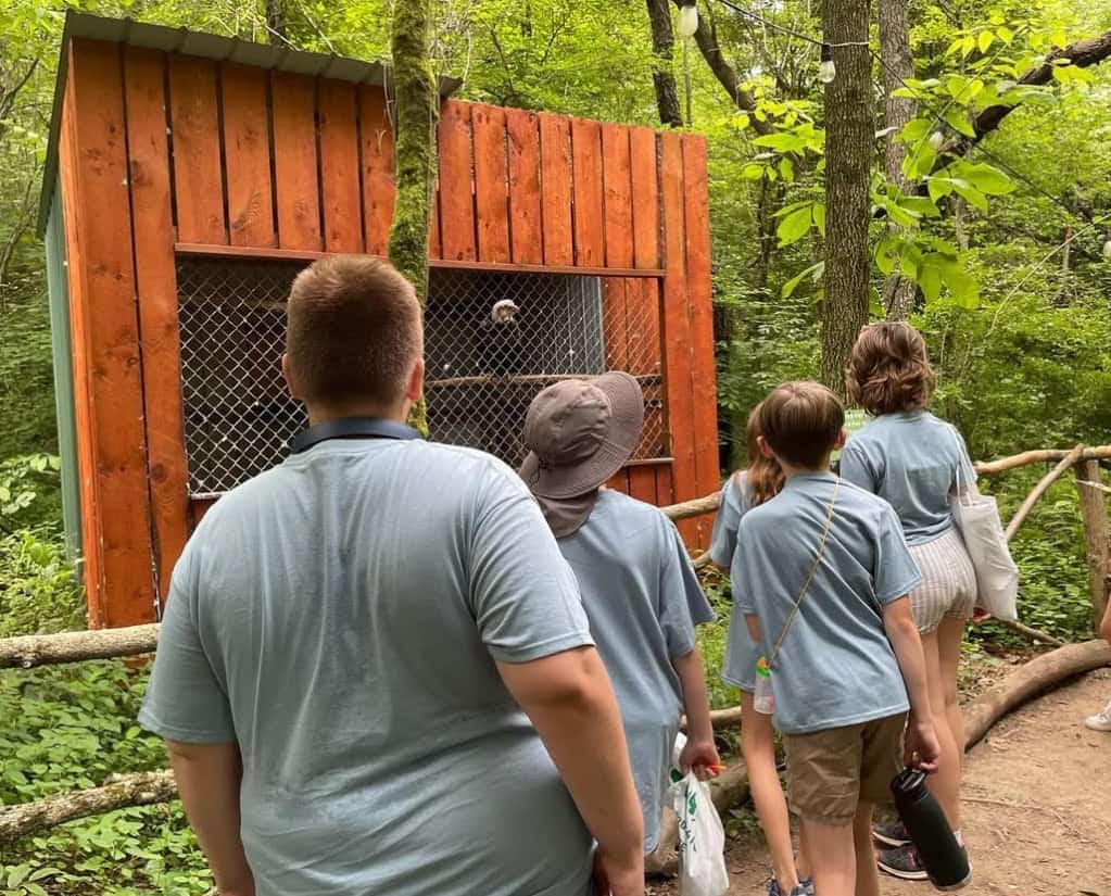 Campers pause to explore and learn about the Bald Eagle at Beech Creek Botanical Garden & Nature Preserve.