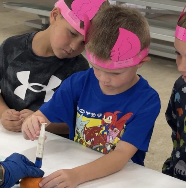 Shattuck Kindergarten student, Westin Burns, practicing giving shots at the vet science station with the help of Shattuck FFA Senior Avery Quisenberry while wearing his ear notched headband from an ear notching station.