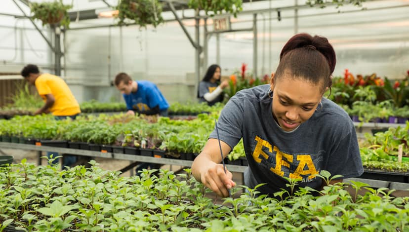 Dive Into Careers With AgExplorer