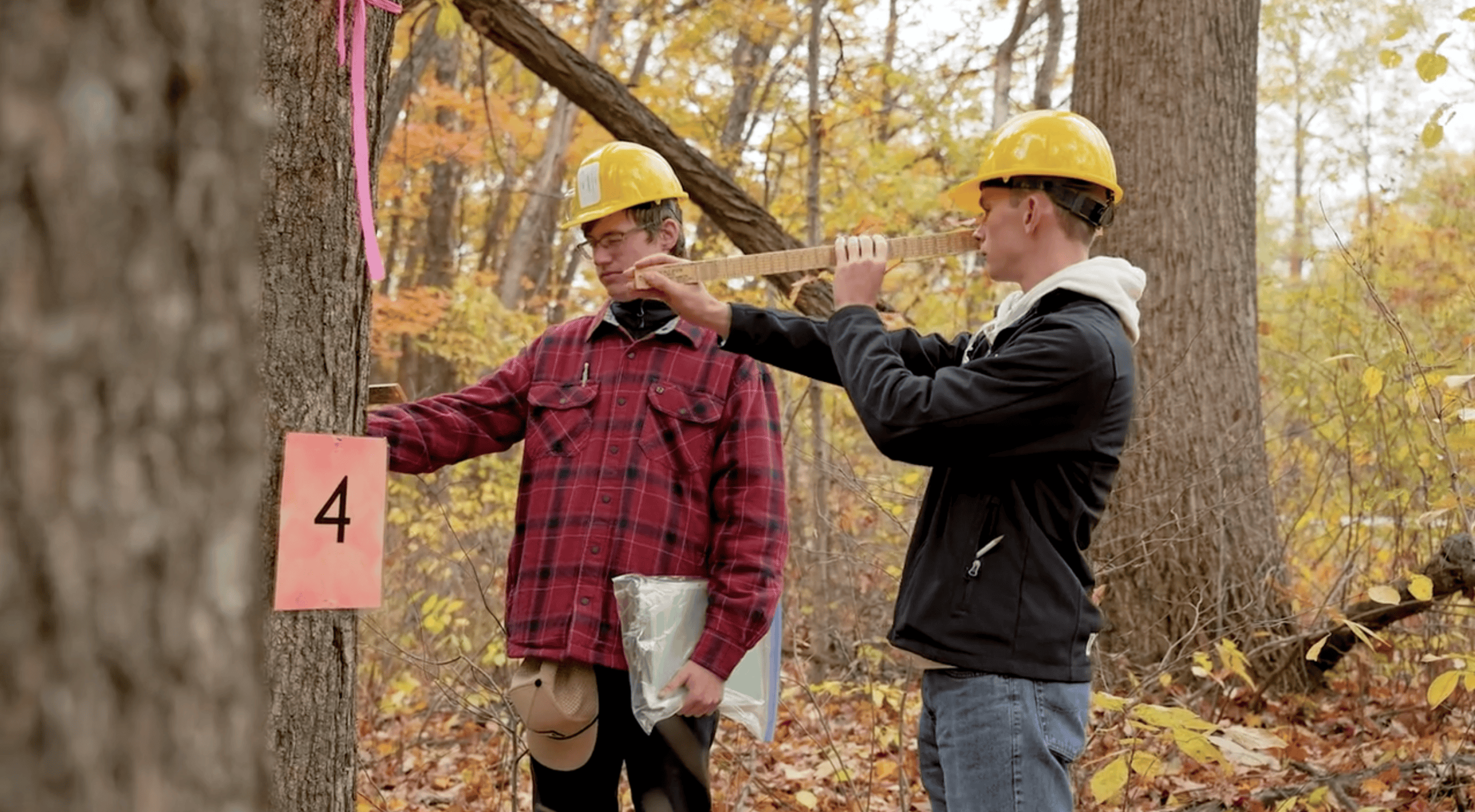 Branching Out in the Great Outdoors